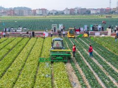 <b>通过演示、使用场景不雅摩和专家专题演讲相连</b>